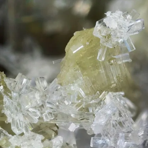 Stellerite sur épidote de Trimouns, Ariège, France © Yannick Vessely