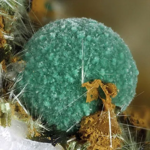 Strashimirite de la Mine Clara, Allemagne © Gerhard Niceus