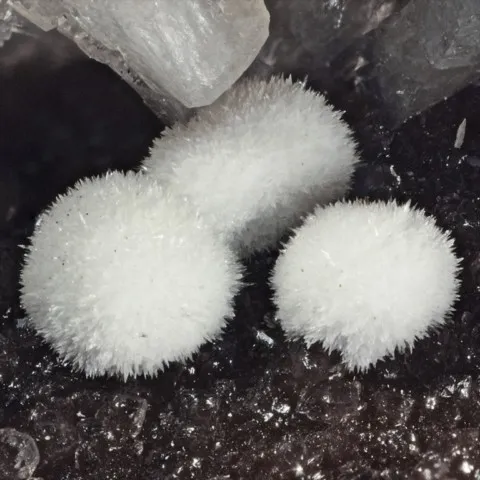Strontianite des septarias de la Drôme, France © Enrico Bonacina