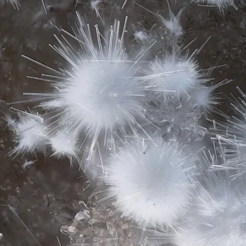 Thaumasite de Schellkopf, Eifel, Allemagne © Volker Betz