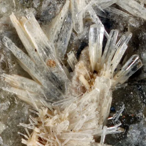 Thaumasite de Crestmore, Californie, USA © Jeff Weissman