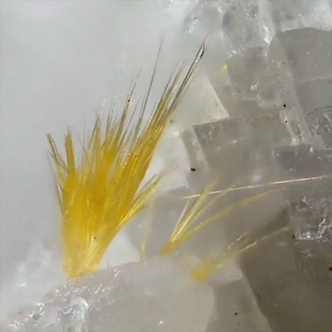 Thortveitite de Trimouns, Ariège, France © Pascale et Daniel Journet