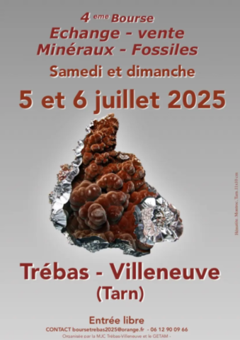 Affiche Trébas-Villeneuve
