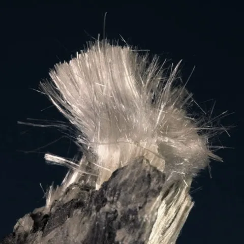 Trémolite de Graphite Mine, Autriche © Gerhard Brandstetter