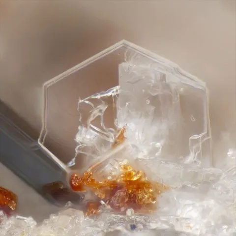 Tridymite du Puy de Tunisset, Puy-de-Dôme, France © Yannick Vessely