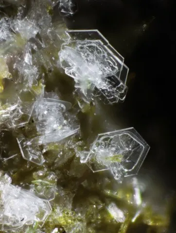Tridymite de Emmelberg, Eifel, Allemagne © Jean-Paul Fayard