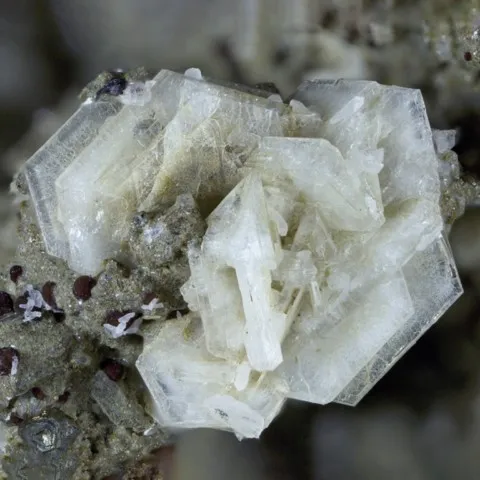 Tridymite de Vechec, Slovaquie © Bohuslav Bures