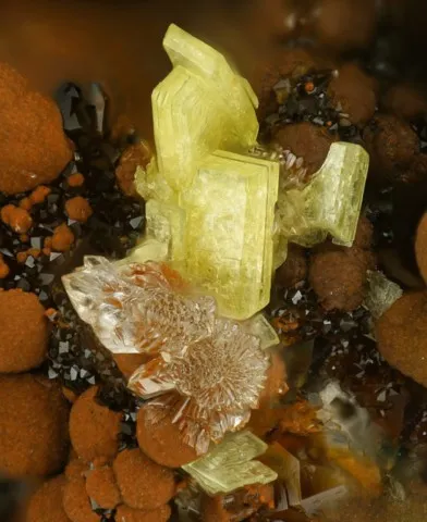 Trögerite et strengite de Adam Heber Mine, Schneeberg, Allemagne © Stephan Wolfsried
