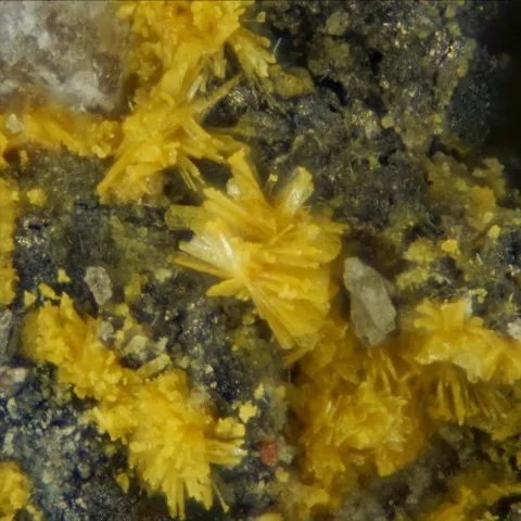 Trögerite de Jachymov, République Tchèque © Alex Earl