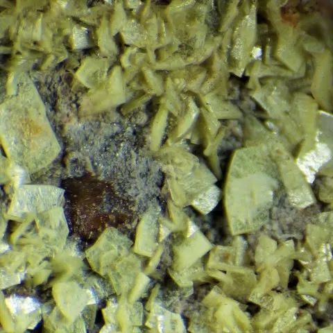 Trögerite du Riviéral, Hérault, France © Frédéric Bonnet