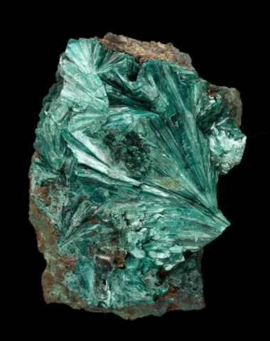 Tyrolite de Mammoth Mine, Utah, USA © Rob Lavinsky