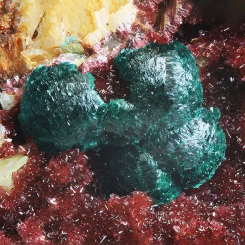 Tyrolite et érythrite de Los Picayos Mine, Asturies, Espagne © Manuel Echevarria Rodriguez
