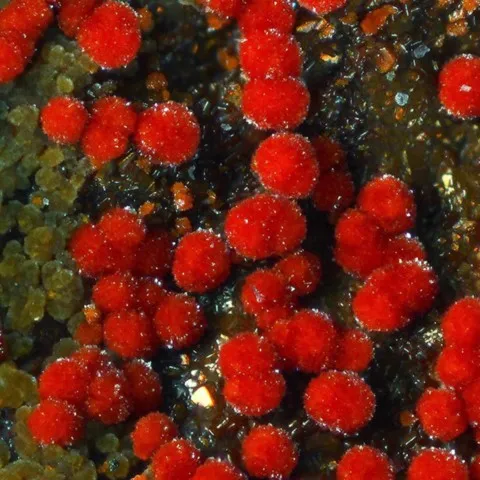 Umohoïte de Rabejac, Lodève, Hérault, France © Joy Desor