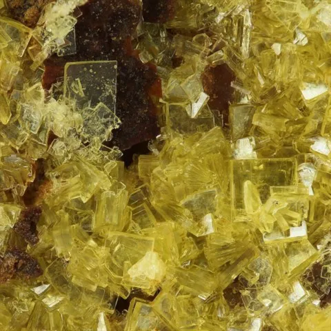 Uranospinite de Rabejac, Hérault, France © Stephan Wolfsried