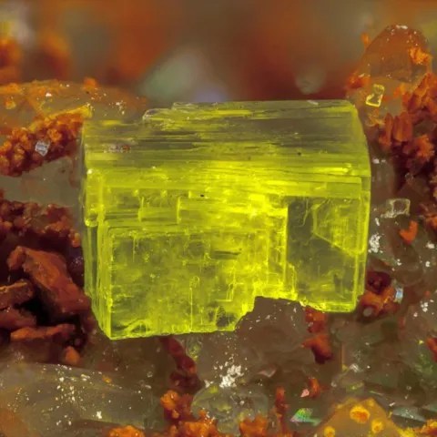 Uranospinite de Rabejac, Hérault, France © Stephan Wolfsried