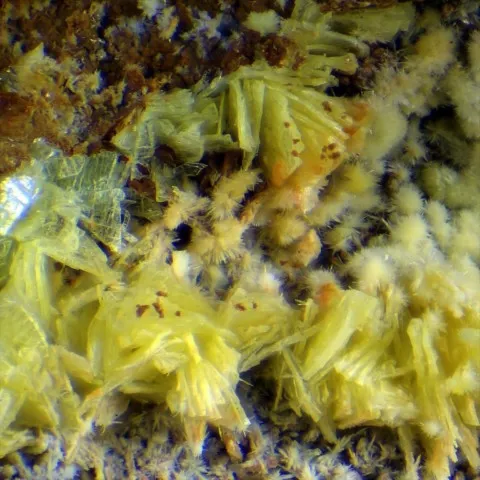 Uranospinite de Rabejac, Hérault, France © Stephan Wolfsried
