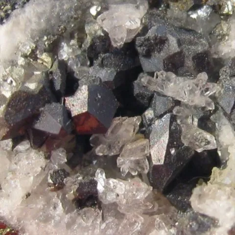 Enduit de vaesite sur pyrite de Montroc, Tarn, France © Michel Arliguie