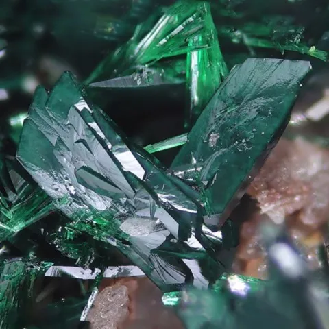 Vandenbrandite from Musonoï Mine, Katanga, DR Congo © Stephan Wolfsried