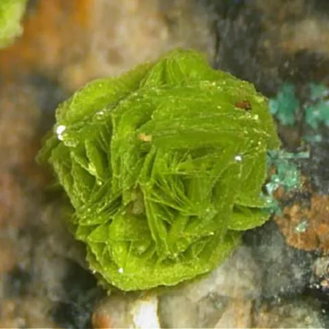 Vésigniéite de New Cliffe Hill Quarry, Angleterre © Steve Rust
