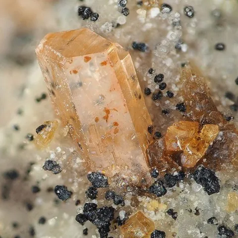Zwieselite de Sítio do Castelo Mine, Portugal © Pedro Alves
