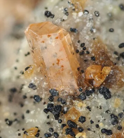 Zwieselite de Sítio do Castelo Mine, Portugal © Pedro Alves