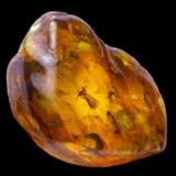 Amber