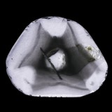 Diamant brut de 22,66 ct de Kimberley Mine , Afrique du Sud