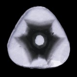 Diamant trapiche du Zimbabwe