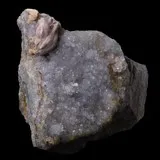 Baryte de Rigoux, Haute-Loire, France