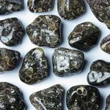Agate à turritelles Chakra racine - MULADHARA - Chakra du plexus solaire - MANIPURA - Dos, crampes, maux de tête, digestion, estomac, foie, fertilité, amour