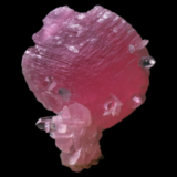 Scalénoèdre de rhodochrosite de Uchucchacua Mine, Pérou