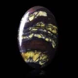 Oeil de fer d'Australie