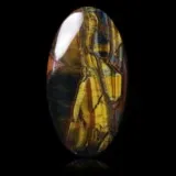 Oeil-de-faucon d'Afrique du Sud en cabochon