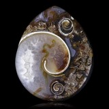 Shell gemstone