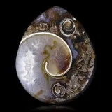 Shell gemstone
