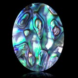 Mother of pearl abalone