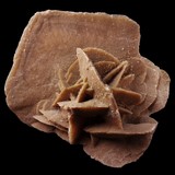 Gypsum desert rose