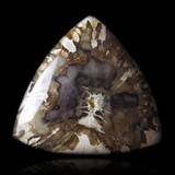 Petrified Wood gemstone