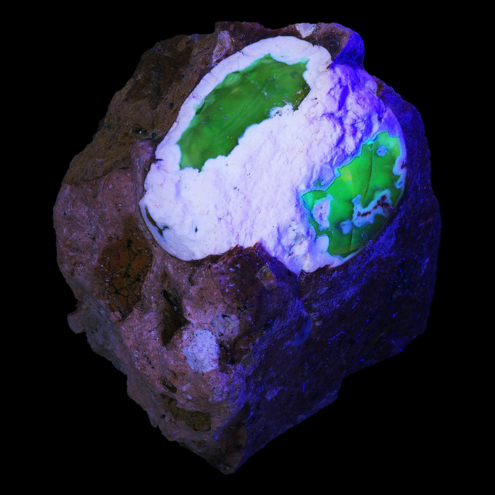 opal-turkey-ref-c24-09